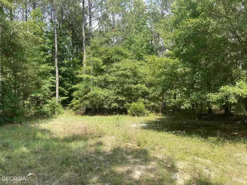 645 Lester Carroll Rd, Adrian, GA 31002 photo 35