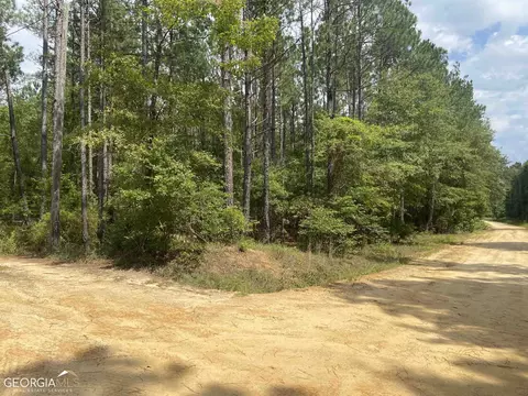645 Lester Carroll Rd, Adrian, GA 31002 photo 29