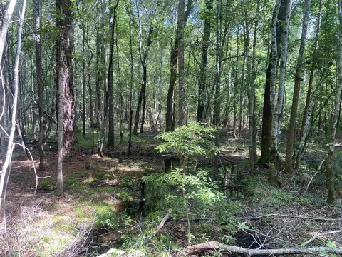 645 Lester Carroll Rd, Adrian, GA 31002 photo 43
