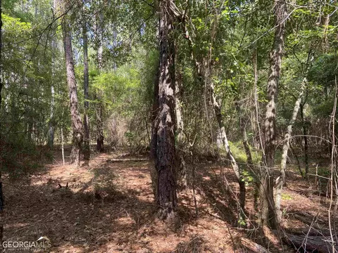 645 Lester Carroll Rd, Adrian, GA 31002 photo 39