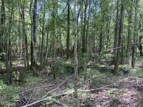 645 Lester Carroll Rd, Adrian, GA 31002 photo 44