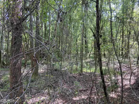 645 Lester Carroll Rd, Adrian, GA 31002 photo 42