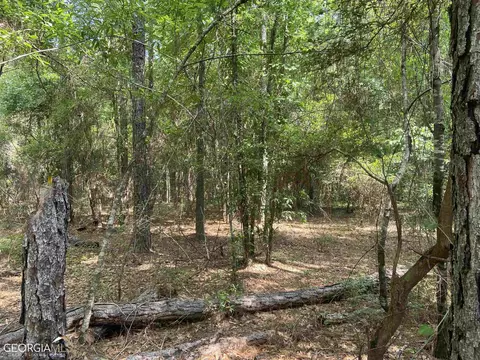 645 Lester Carroll Rd, Adrian, GA 31002 photo 38