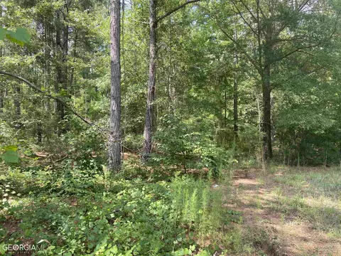 645 Lester Carroll Rd, Adrian, GA 31002 photo 36
