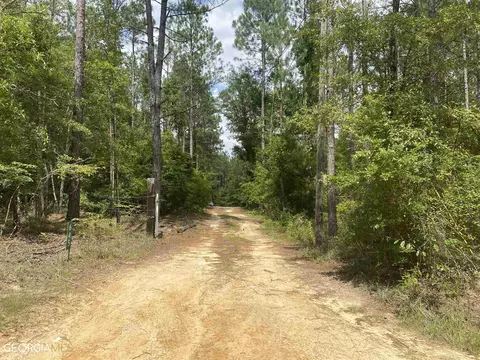 645 Lester Carroll Rd, Adrian, GA 31002 photo 27