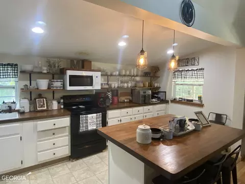 645 Lester Carroll Rd, Adrian, GA 31002 photo 8