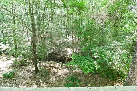1212 Morgans Run, Monroe, GA 30656 photo 53