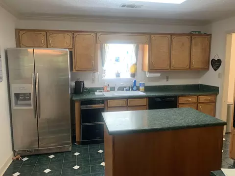 14 Lake Vista Cir, Hampton, GA 30228 photo 9