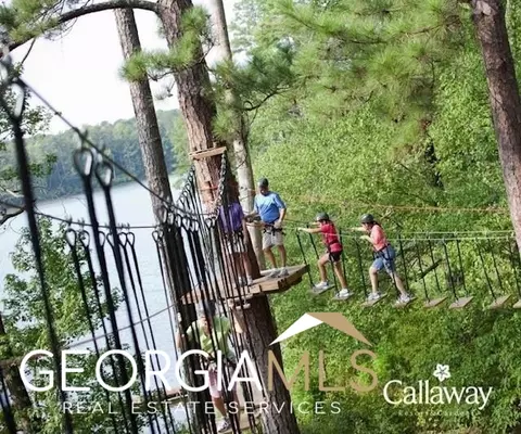 142 Maple Trce, Pine Mountain, GA 31822 photo 50