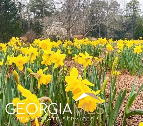 142 Maple Trce, Pine Mountain, GA 31822 photo 55