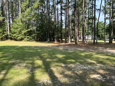 1706 Brook Run Dr, Register, GA 30452 photo 8