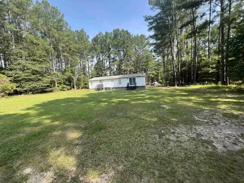 1706 Brook Run Dr, Register, GA 30452 photo 6