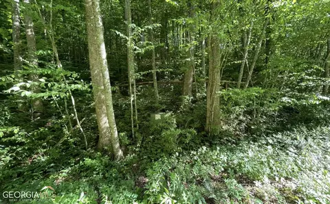 3 Us 64, Hayesville, NC 28904