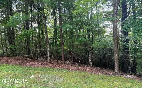 lot40 Double Knobs, Hayesville, NC 28904