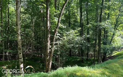lot40 Double Knobs, Hayesville, NC 28904 photo 10