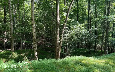 lot40 Double Knobs, Hayesville, NC 28904 photo 9