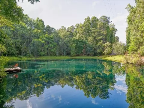 472 Mcbrayer Rd, Buchanan, GA 30113 photo 47
