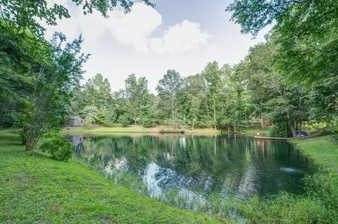 472 Mcbrayer Rd, Buchanan, GA 30113 photo 46