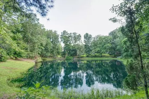 472 Mcbrayer Rd, Buchanan, GA 30113 photo 45