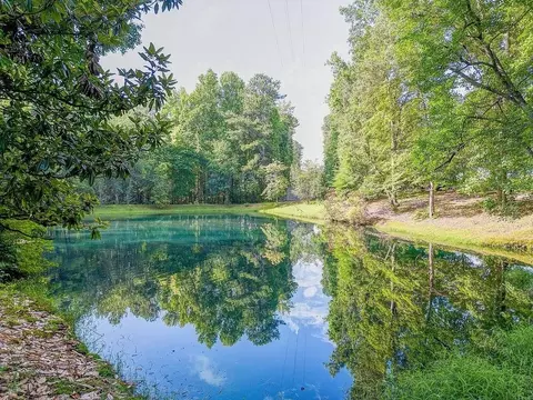 472 Mcbrayer Rd, Buchanan, GA 30113 photo 48