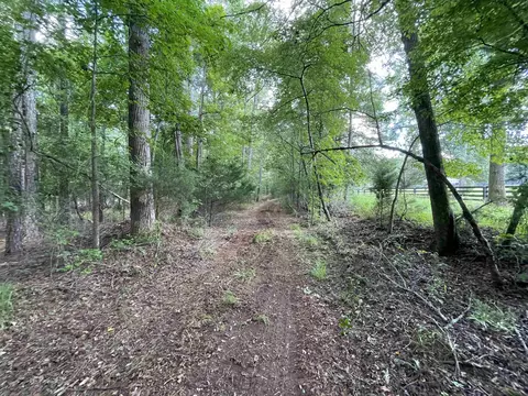 0 Clack Rd, Madison, GA 30650 photo 6