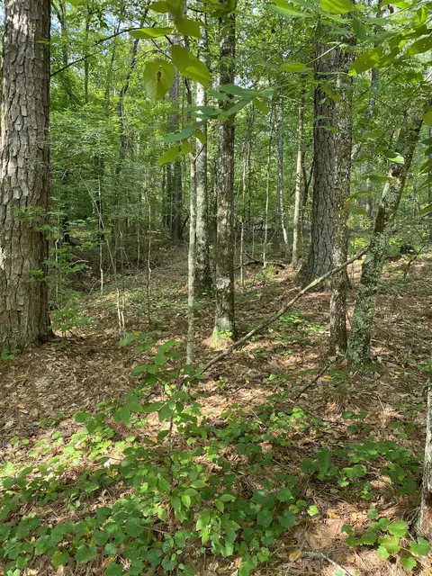 lot333 Morning Glory Dr, Sparta, GA 31087