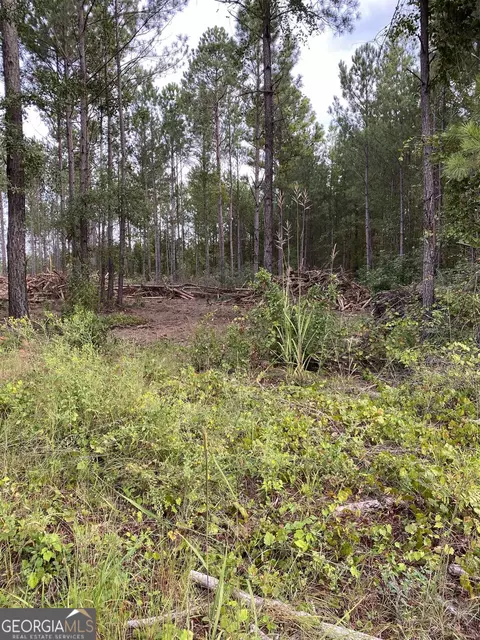 lot10 Tom Brown Rd, Sparta, GA 31087