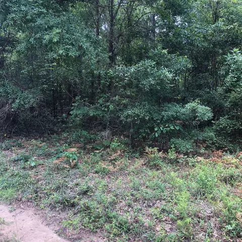 2323 Old Augusta Rd, Clyo, GA 31303
