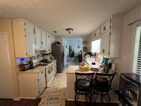 1315 Brady Ct, Hampton, GA 30228 photo 4