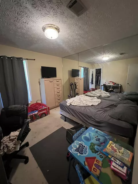 1315 Brady Ct, Hampton, GA 30228 photo 12