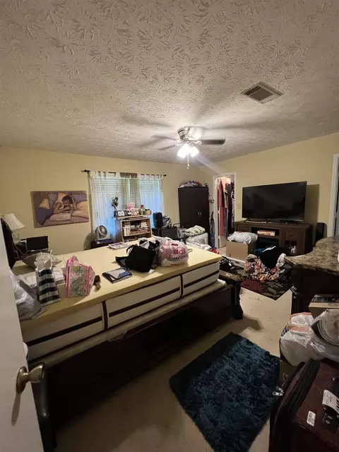 1315 Brady Ct, Hampton, GA 30228 photo 8