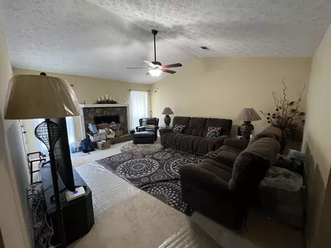 1315 Brady Ct, Hampton, GA 30228 photo 3