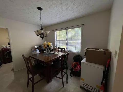 1315 Brady Ct, Hampton, GA 30228 photo 6