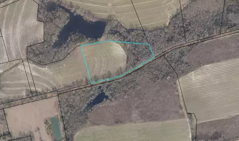 315 Cannady Road Apt Rd #(6.87 AC), Metter, GA 30439