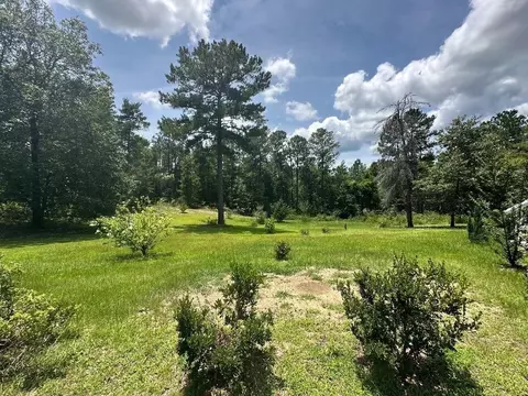 2064 Hortman Mill Rd, Roberta, GA 31078 photo 3