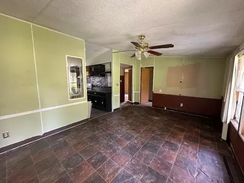 2064 Hortman Mill Rd, Roberta, GA 31078 photo 4