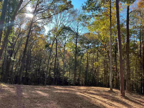 0 Grayson Trl # 60, Hogansville, GA 30230
