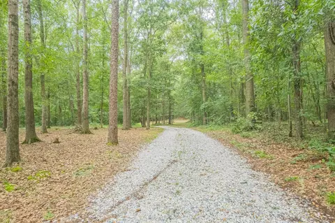 3837 Harrison Bridge Rd, Carnesville, GA 30521 photo 17