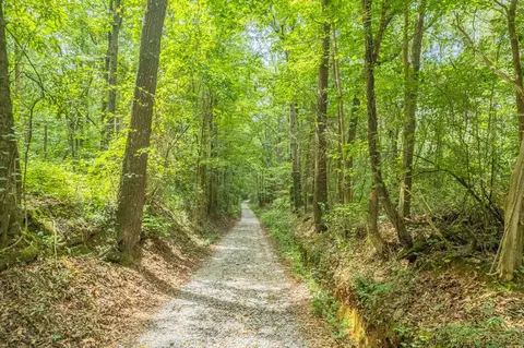 3837 Harrison Bridge Rd, Carnesville, GA 30521 photo 16