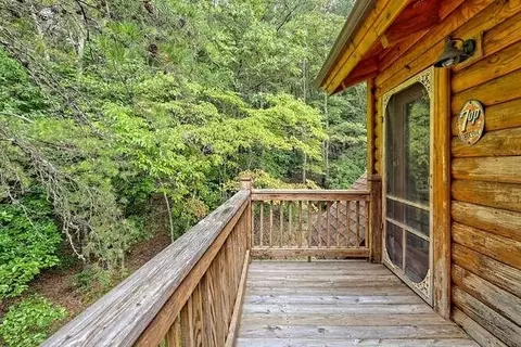 220 Willow Way, Warne, NC 28909 photo 28
