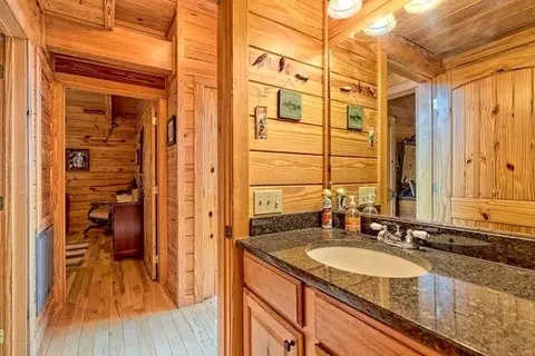 220 Willow Way, Warne, NC 28909 photo 22