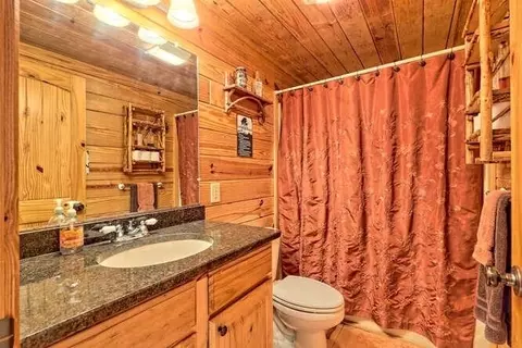 220 Willow Way, Warne, NC 28909 photo 21