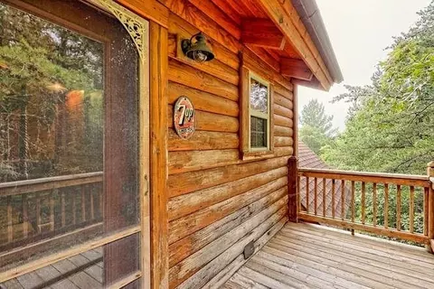 220 Willow Way, Warne, NC 28909 photo 27