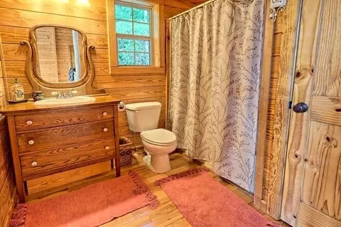 220 Willow Way, Warne, NC 28909 photo 30
