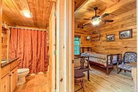 220 Willow Way, Warne, NC 28909 photo 20