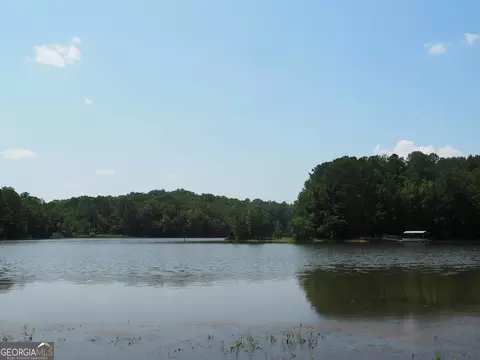6189 Co Rd 266, Five Points, AL 36855 photo 31