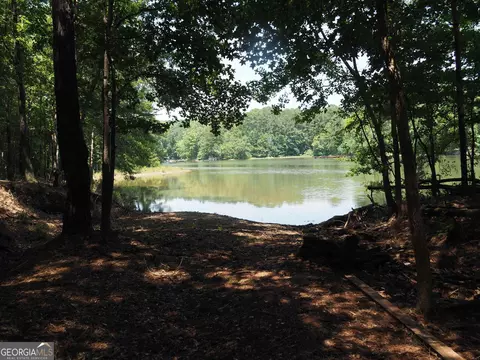 6189 Co Rd 266, Five Points, AL 36855 photo 25