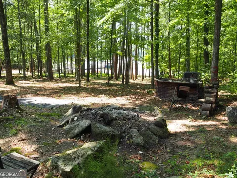 6189 Co Rd 266, Five Points, AL 36855 photo 30