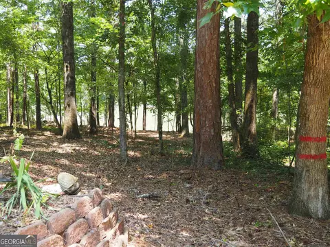 6189 Co Rd 266, Five Points, AL 36855 photo 24