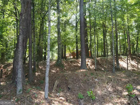 6189 Co Rd 266, Five Points, AL 36855 photo 27